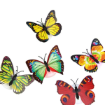Small Decorative Butterly/dz