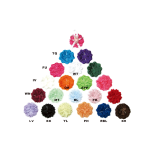 3" Carnation - 144pcs/Bag