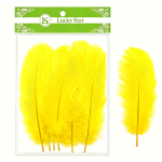 All Purpose Feathers/12packs - Image 3