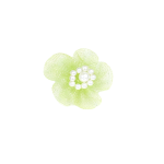 Shimmering Organza Flowers w Pearl/dz (BL/APP/TQ) - Image 4
