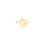 Satin Ribbon Flowers/dz - Image 4