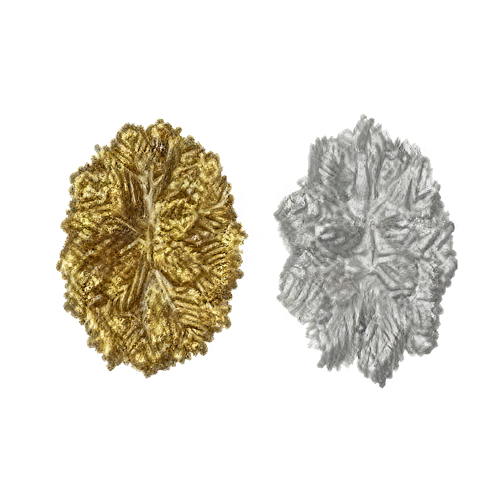 cf145 3" Silver/Gold Carnation/grs - Image 1